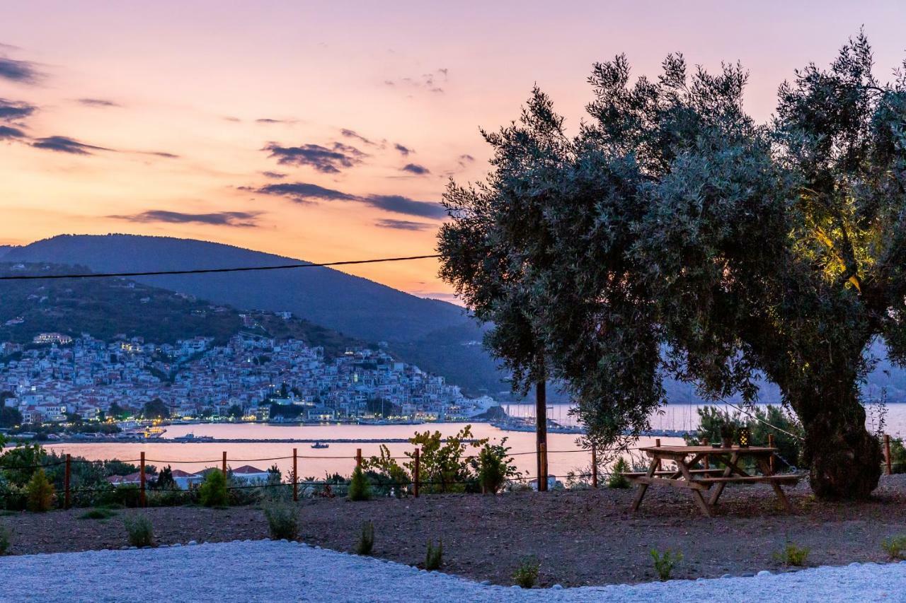 Olive Grove Apartment Skopelos Eksteriør billede
