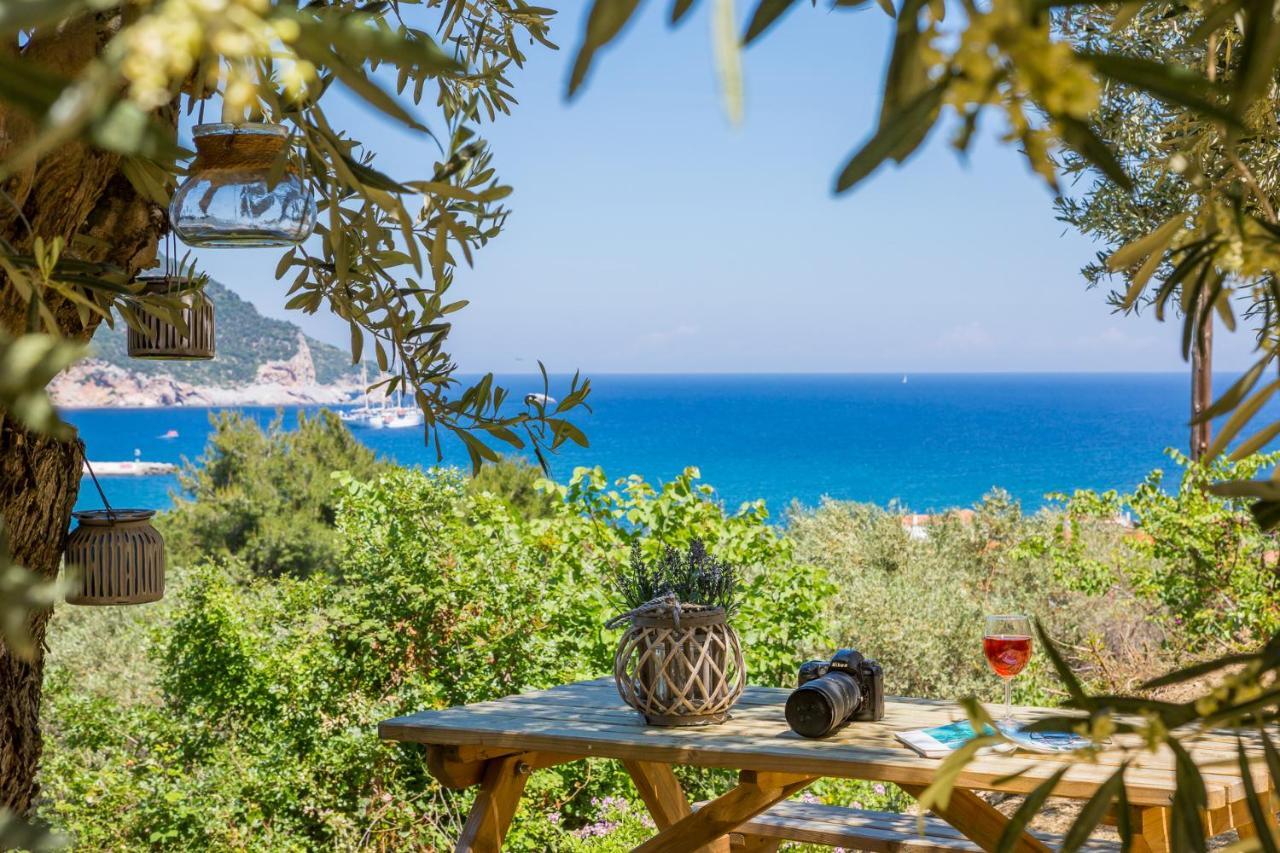 Olive Grove Apartment Skopelos Eksteriør billede